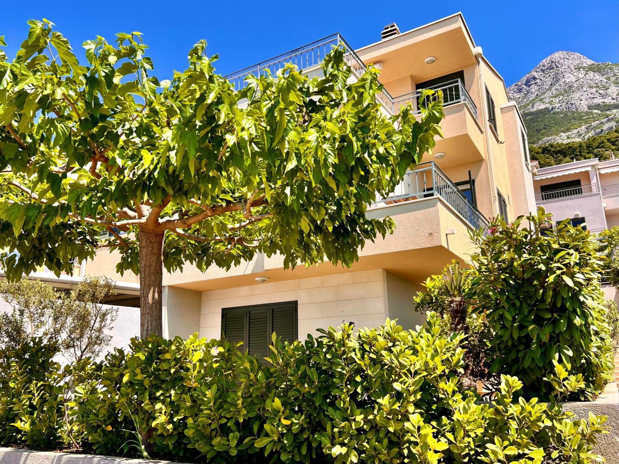 Apartament Crolife Makarska Dış mekan fotoğraf